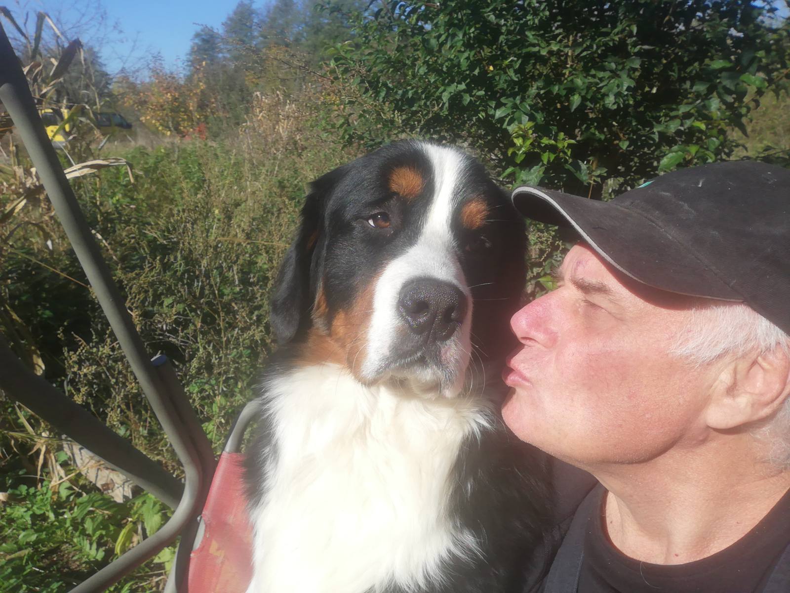 IMG-0e757602fdaa29c3543b7a5e8a22ce1a-V (1)