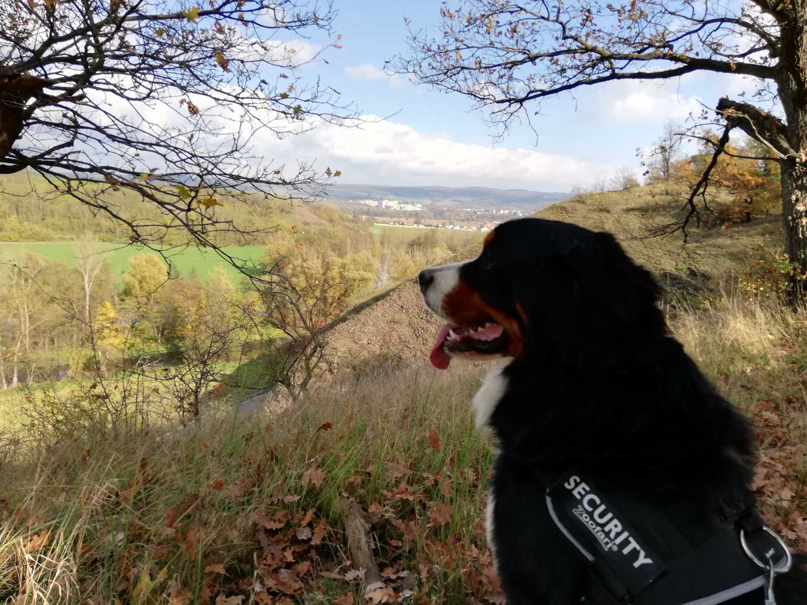 IMG-5922c142d408baff4f650d992b2de134-V