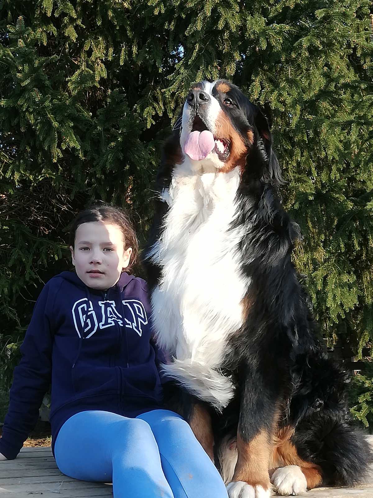 IMG-35b46f5a7e9aead24474649d0983a456-V