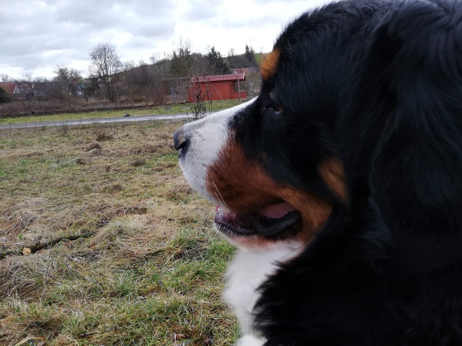 IMG-85846aa20b017e8d2ded938843cef0a8-V