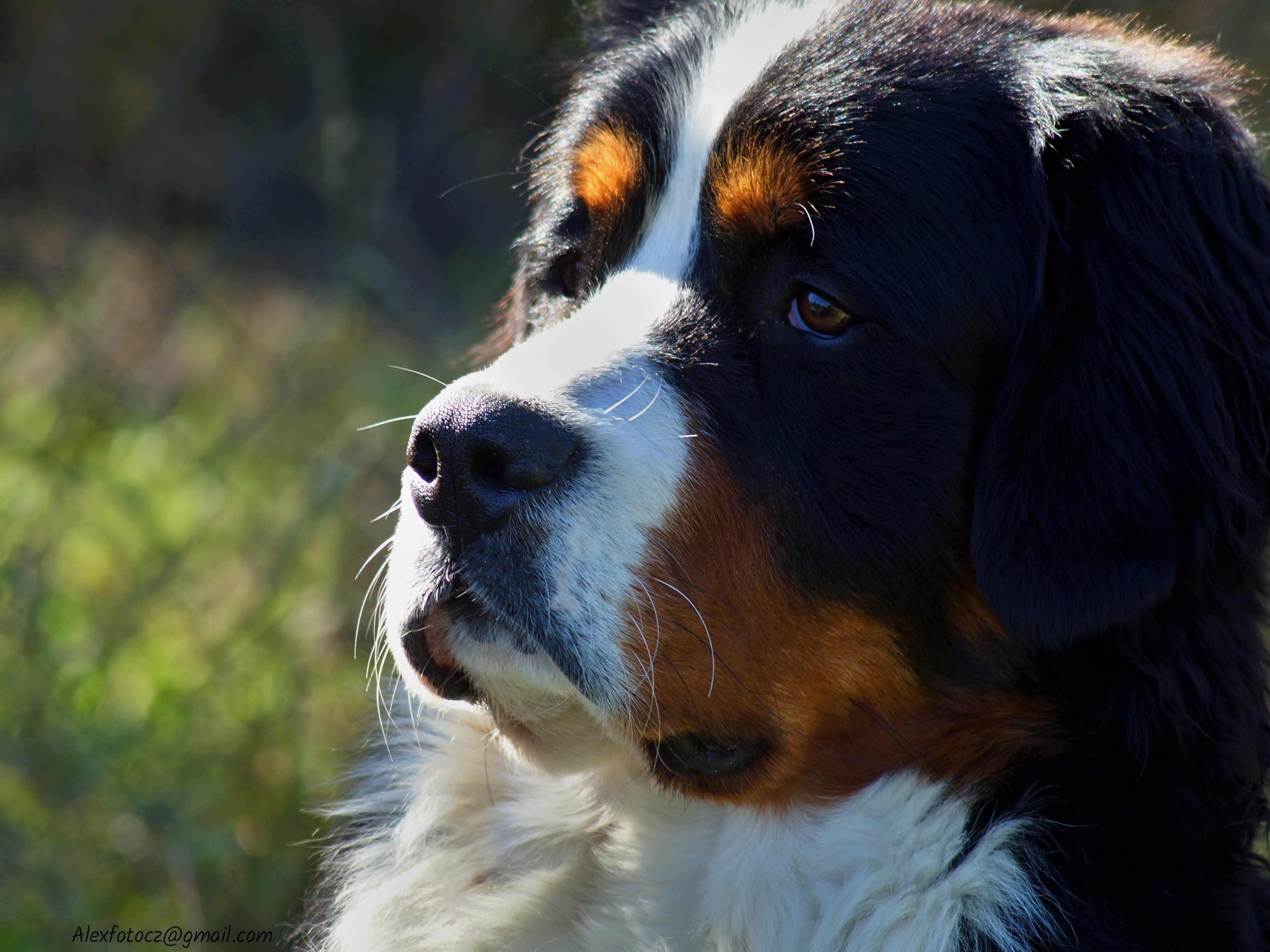 IMG_20230112_123626_960