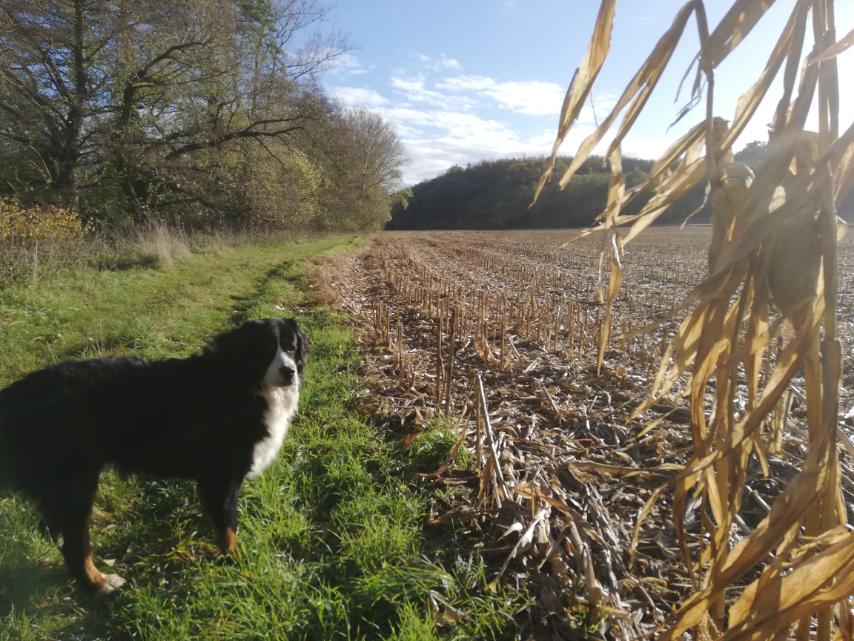 IMG-3aaf02fa112538ccac5a5d9f8b9d9f74-V