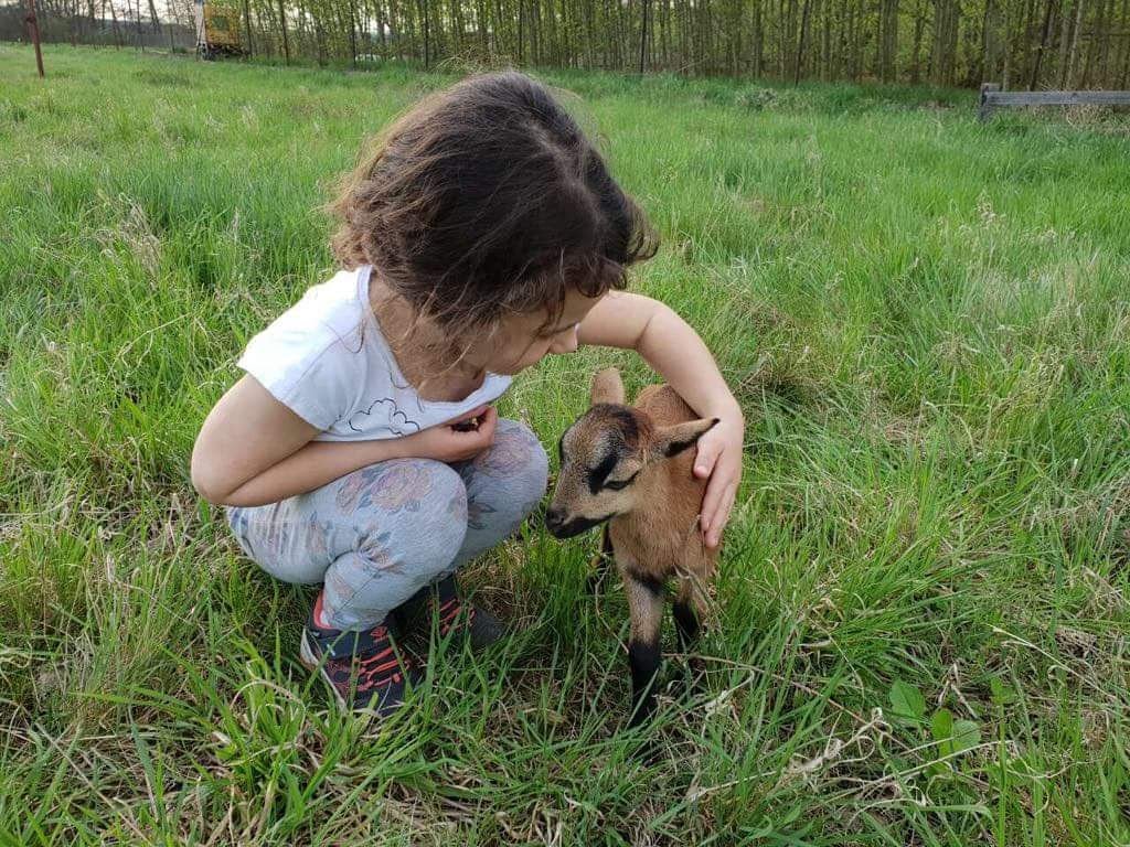 IMG-4488d3b854bf30c6cb84f3bef730da48-V